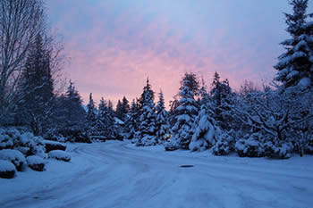 Equal Wellness - Surviving winter running