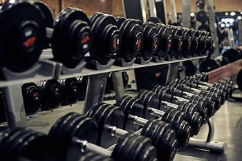 PictureEqual Wellness - Cardio vs weights for weight loss